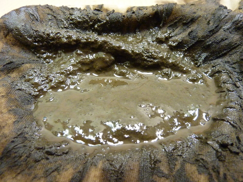 Diesel Bug Sludge, filtered from a container after three months