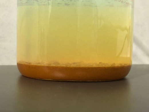 Contaminated fuel like this will ruin your day!